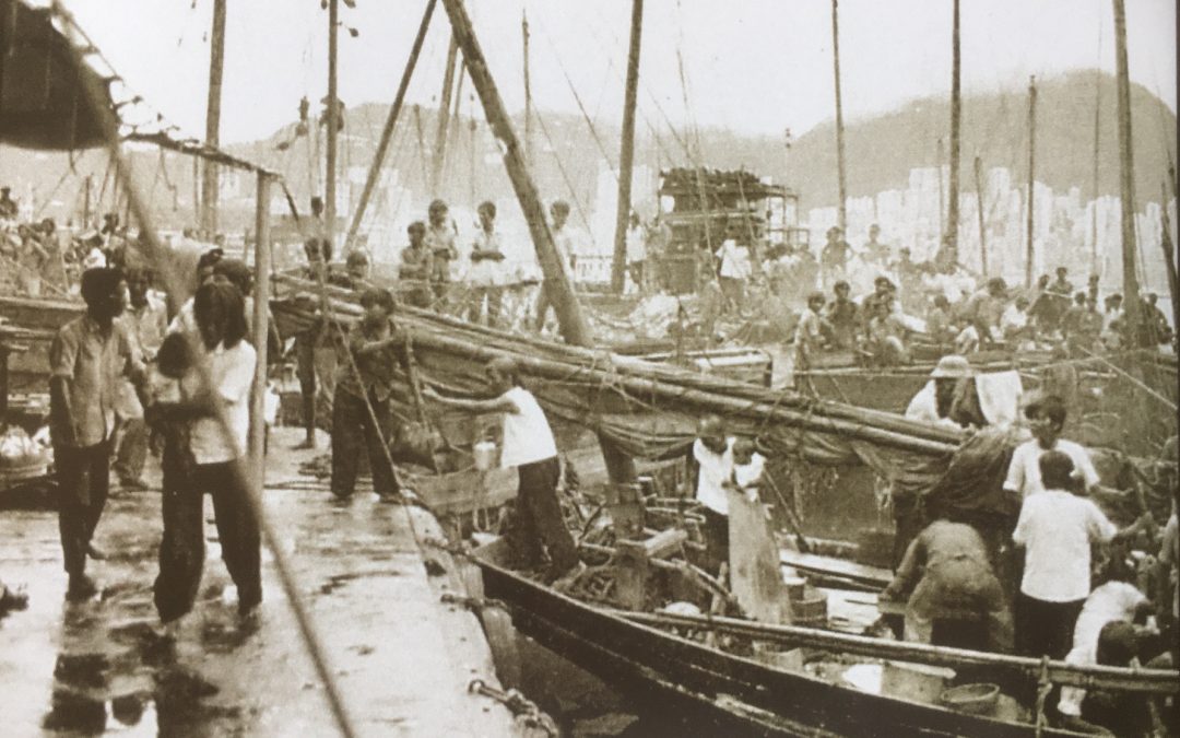 Con Tàu Cap Anamur